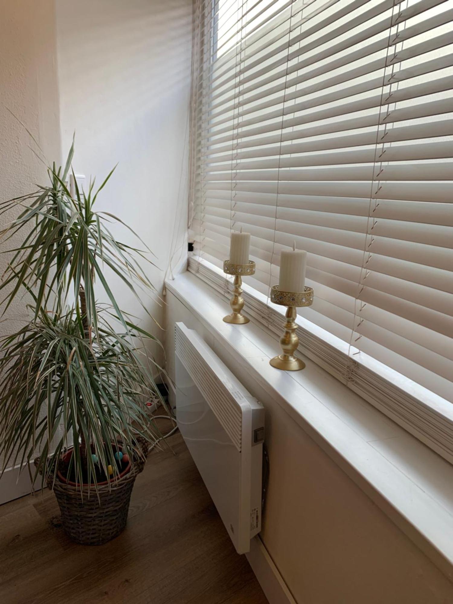 Shortstay Scheveningen Den Haag Ngoại thất bức ảnh